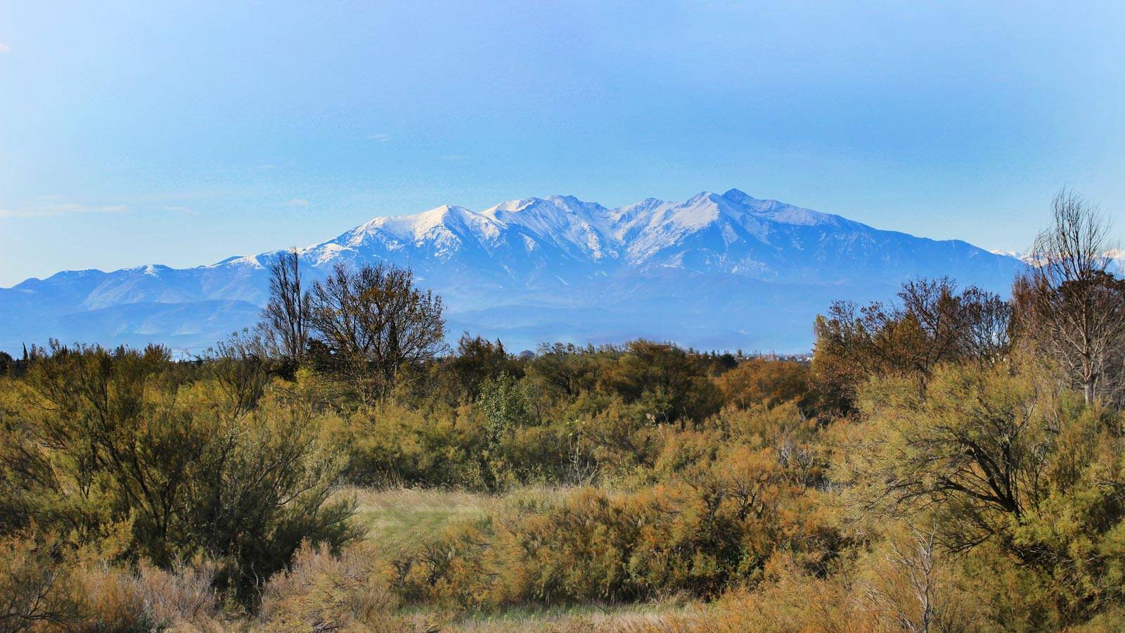 camping-pyrenee-orientales-canigou-poi-th
